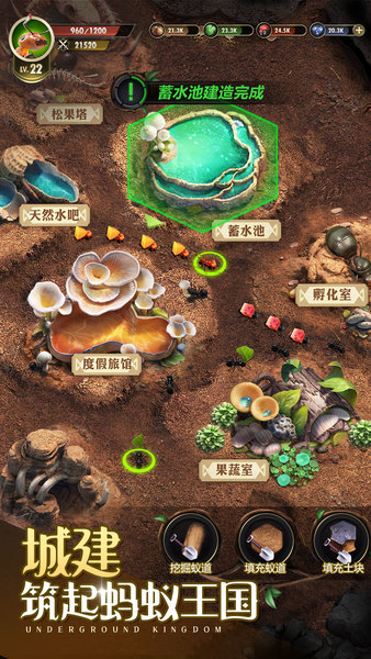 小小蟻國最新版本1