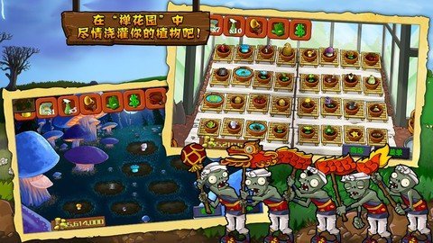 植物大戰僵尸西游版 v40.10安卓版1