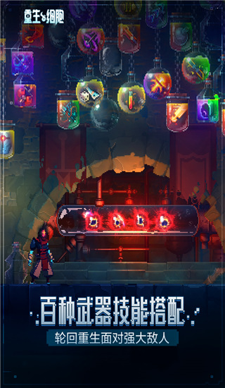 重生細胞破解版 v2.7.12安卓版2