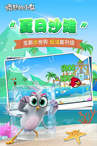 憤怒的小鳥原版 v1.0.3安卓中文版3