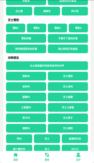 丁真盒 v1.01