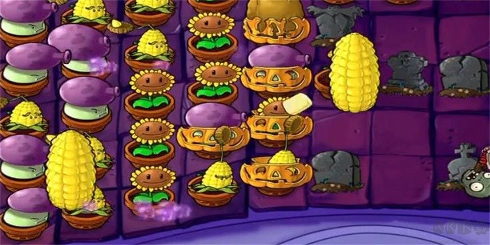 植物大戰僵尸前傳c版 v1.0.61