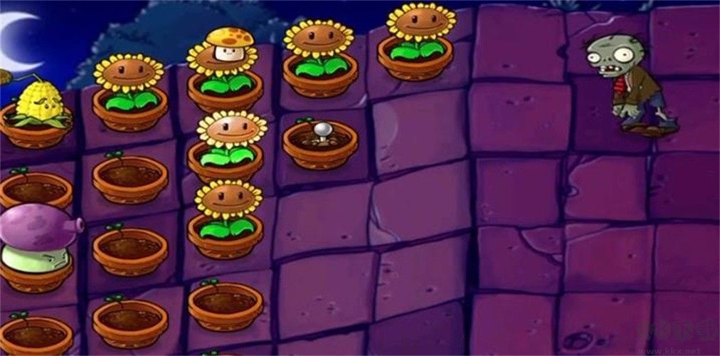 植物大戰僵尸前傳c版 v1.0.62