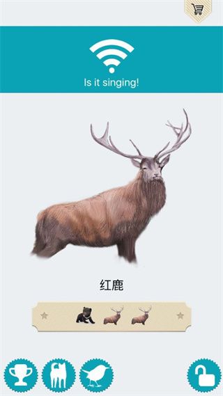 動物的叫聲游戲 for Android v1.0 安卓手機版3