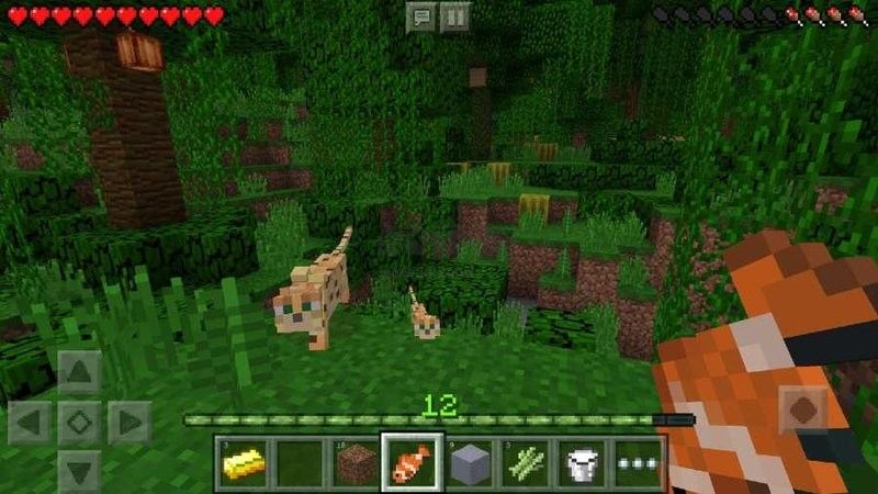 我的世界基巖手機(jī)版 v1.20.80.21 安卓最新版1
