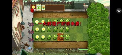 植物大戰僵尸內置作弊菜單版 v.0.0.2單機版4