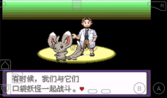 口袋妖怪漆黑的魅影破解版 v.5.0最新版0