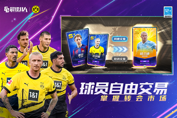 最佳11人官方版 v.5.0.137單機版2