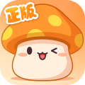 冒險島楓之傳說最新版 v.2.130