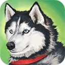 美國ZOOM動物國際版 v1.0.3.4 中文版