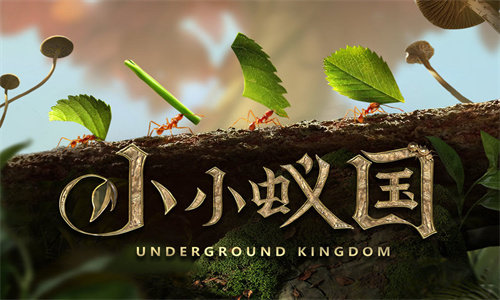 小小蟻國安卓版 v1.85.0最新版1