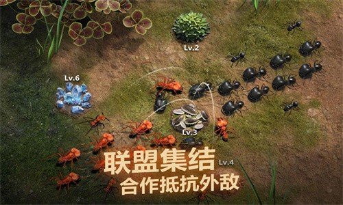 小小蟻國安卓版 v1.85.0最新版0