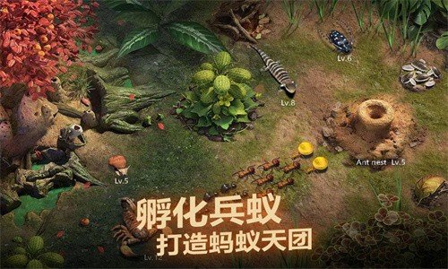 小小蟻國安卓版 v1.85.0最新版3
