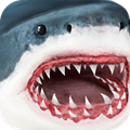 終極鯊魚模擬器安卓版 v.1.1