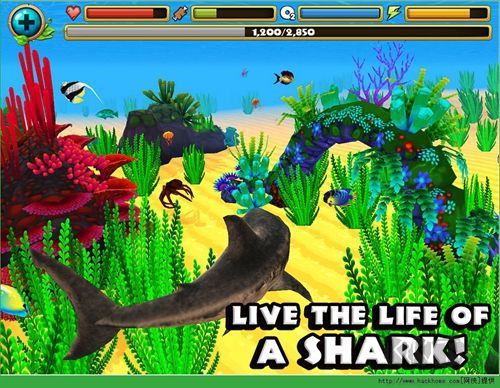 終極鯊魚模擬器安卓版 v.1.11