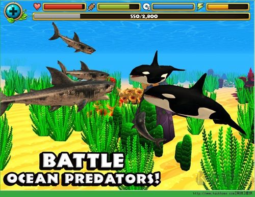 終極鯊魚模擬器安卓版 v.1.13