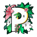 paintly數字填色2024 v3.7.7最新版