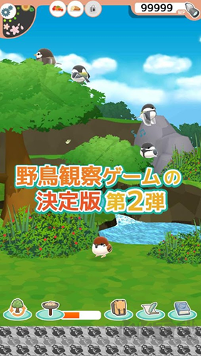 小鳥觀察2最新版 v.2.4.1漢化版0
