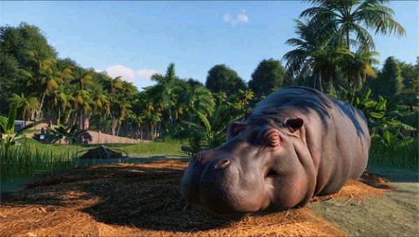動物園之星手游中文版(模擬經(jīng)營游戲) v0.10 安卓手機版1