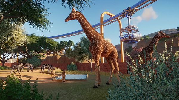 動物園之星安卓版 v0.101