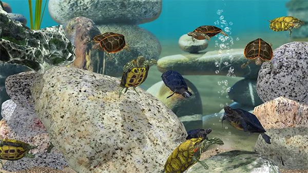 養魚場3官網版 v1.18.8.71801
