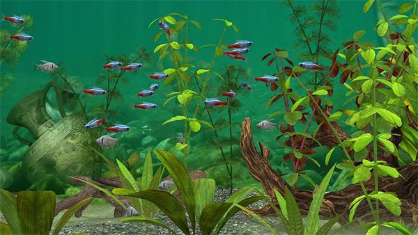 養魚場3官網版 v1.18.8.71800