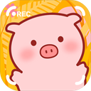 美食家小豬的大冒險最新版(養成手游) v1.0  安卓手機版