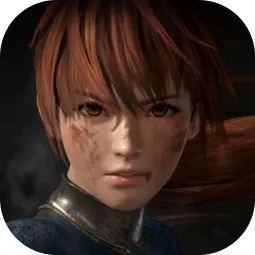 死或生6(動作格斗對戰類游戲) v2.6.9 最新安卓版