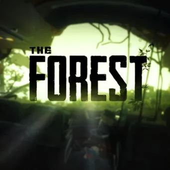 森林The Forest手游正版(生存冒險(xiǎn)游戲) v2.6.9 安卓版