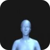 bodyvisualizer網頁版