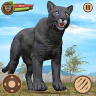 黑豹Black Panther