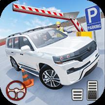 真實(shí)3d模擬停車