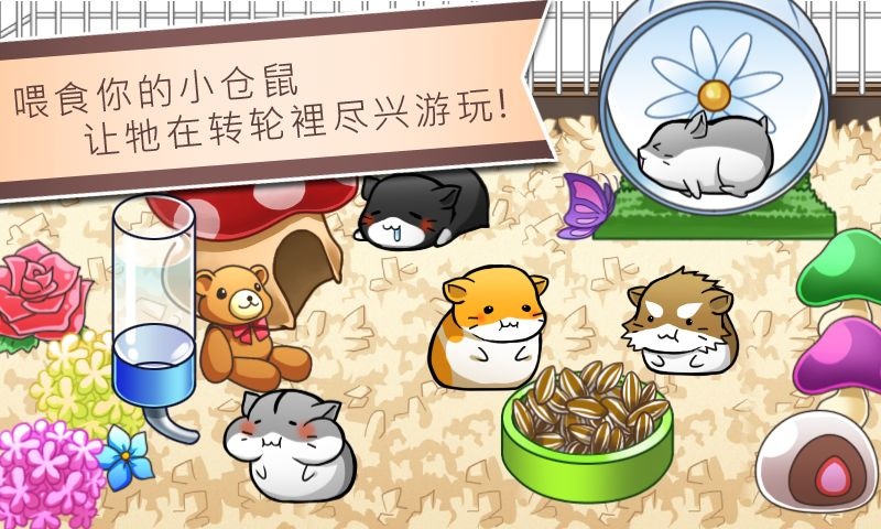 倉鼠的日常4