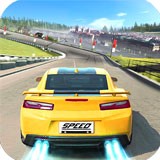 瘋狂的賽車3D