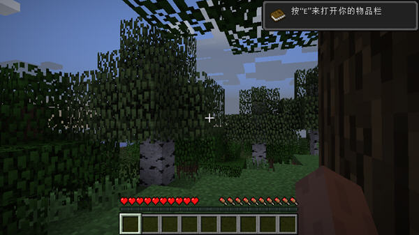 我的世界 1.6.0.6版3
