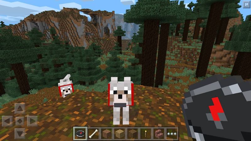 我的世界 1.6.0.6版6