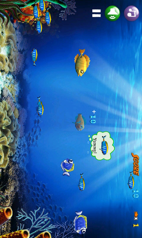 大魚吃小魚0