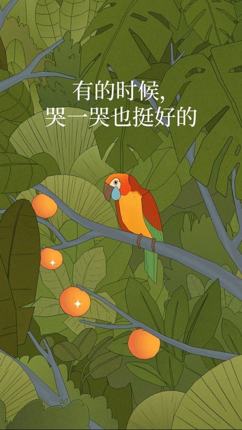 孤獨的鳥兒 最新版2