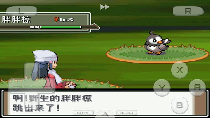 口袋妖怪：白金 最新版2