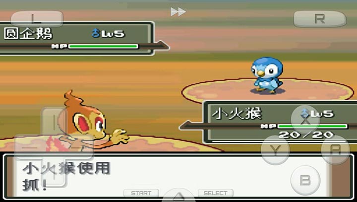 口袋妖怪：白金 最新版1