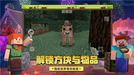 我的世界 1.19基巖版20223