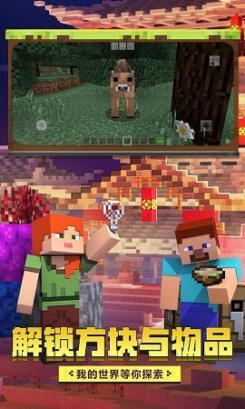 我的世界java1.16版2