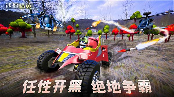 迷你精英0