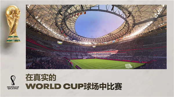 fifa足球世界 國際服0