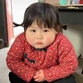 合成楊金剛