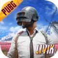 pubg國際服 手游官網(wǎng)版