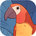 孤獨的鳥兒手機版