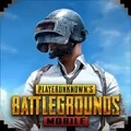 pubg國(guó)際服下載最新版本2024
