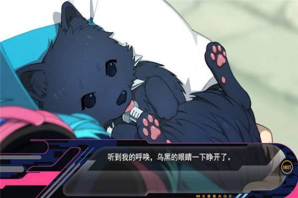 dmmd手機版漢化版1