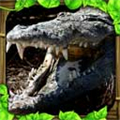 鱷魚模擬器中文版